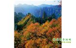 長(zhǎng)沙往返張家界、天子山、寶峰湖/黃龍洞三日游