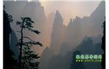 張家界國家森林公園、寶峰湖/黃龍洞、鳳凰古城、三峽八日游