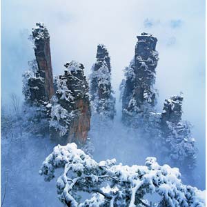 單獨(dú)成團(tuán)G線:走遍張家界四晚五天休閑度假全景山水游