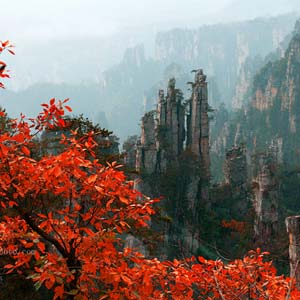 休閑自駕E線：張家界、袁家界、天子山、寶峰湖、鳳凰古城、沱江泛舟四晚五日游